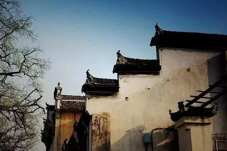救援俏皮女孩